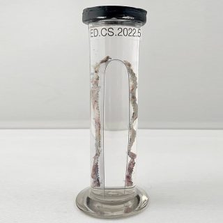 Pelvic mesh inside a tube
